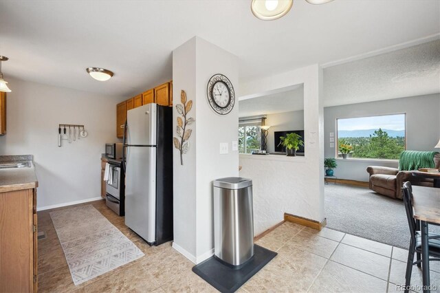 362 Dick Mountain Dr, Bailey, CO 80421 - photo 6