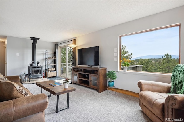 362 Dick Mountain Dr, Bailey, CO 80421 - photo 8