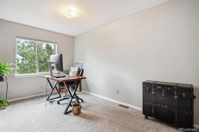 362 Dick Mountain Dr, Bailey, CO 80421 - photo 13