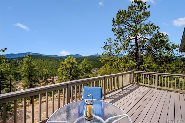 362 Dick Mountain Dr, Bailey, CO 80421 - photo 20