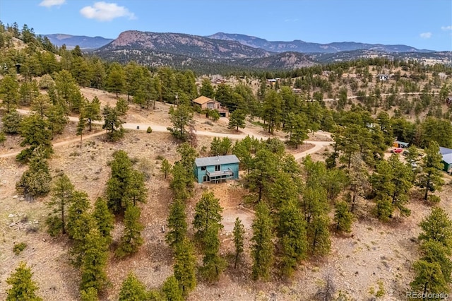 362 Dick Mountain Dr, Bailey, CO 80421 - photo 27