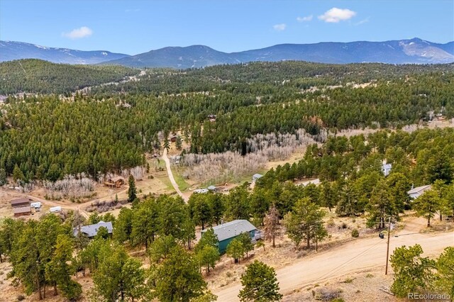 362 Dick Mountain Dr, Bailey, CO 80421 - photo 28