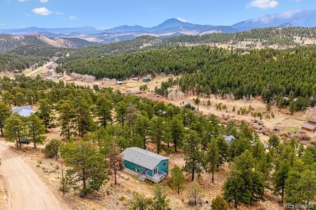 362 Dick Mountain Dr, Bailey, CO 80421 - photo 29