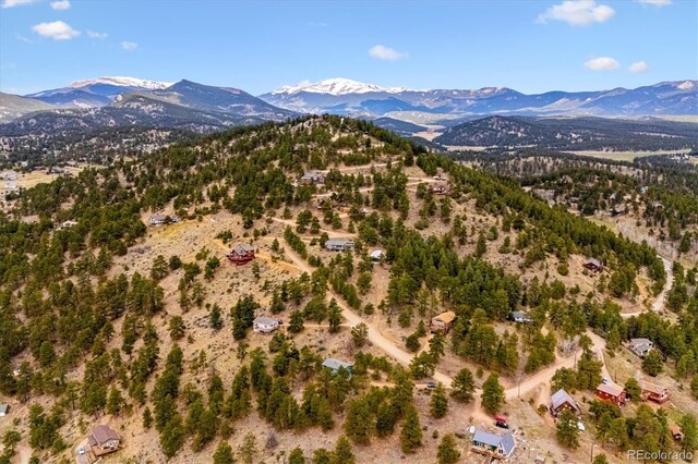 362 Dick Mountain Dr, Bailey, CO 80421 - photo 31