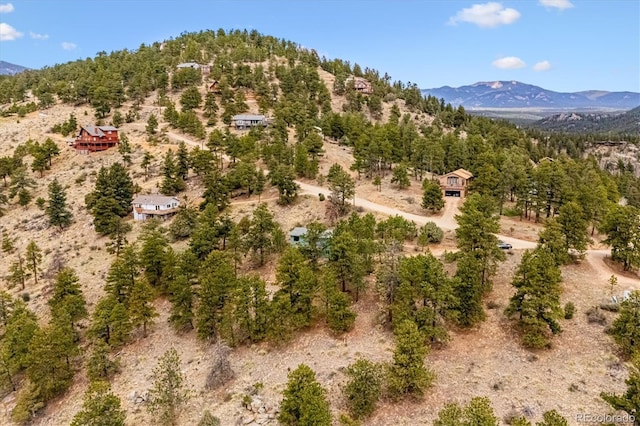 362 Dick Mountain Dr, Bailey, CO 80421 - photo 32