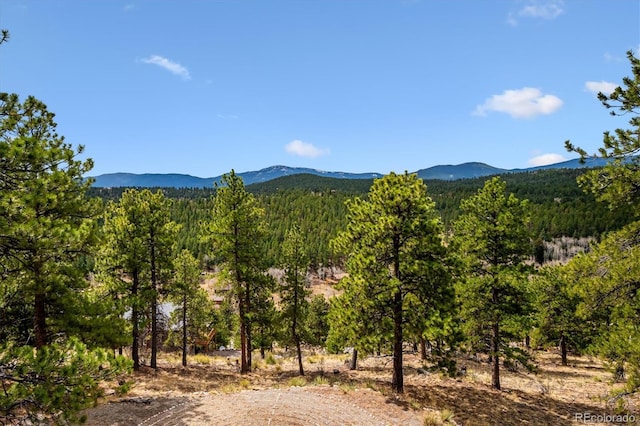 362 Dick Mountain Dr, Bailey, CO 80421 - photo 33