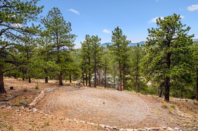 362 Dick Mountain Dr, Bailey, CO 80421 - photo 34