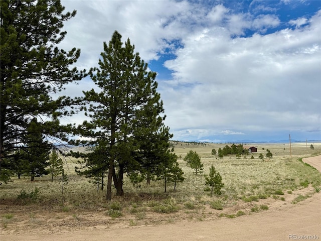 311 Harness Way, Hartsel, CO 80449