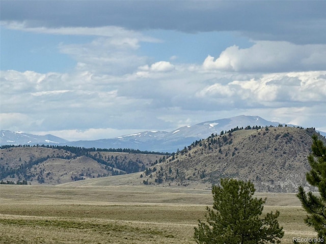 311 Harness Way, Hartsel, CO 80449