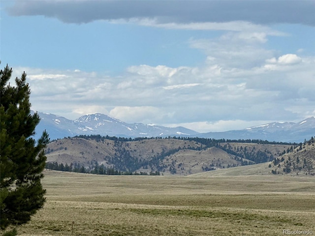 311 Harness Way, Hartsel, CO 80449