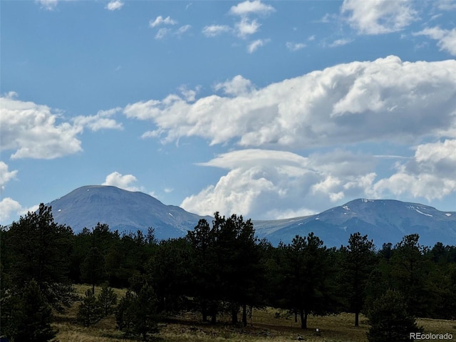 311 Harness Way, Hartsel, CO 80449