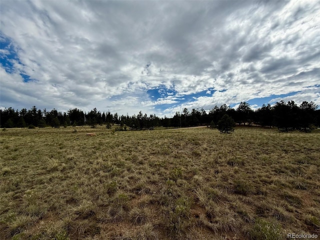 311 Harness Way, Hartsel, CO 80449