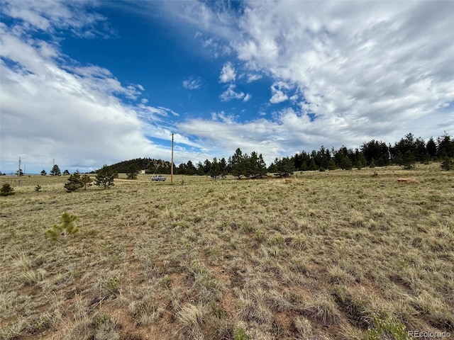 311 Harness Way, Hartsel, CO 80449