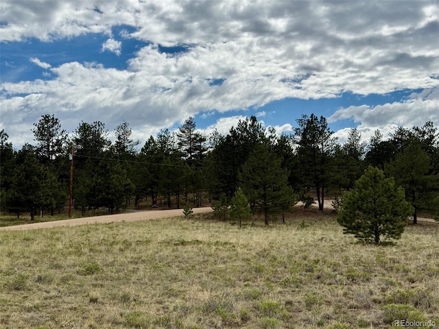 311 Harness Way, Hartsel, CO 80449