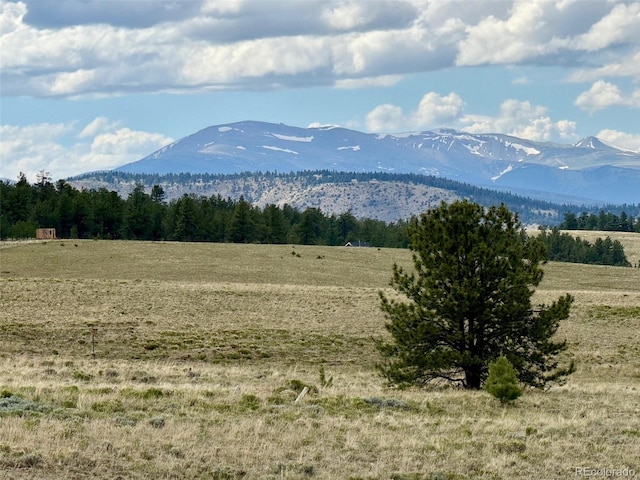 311 Harness Way, Hartsel, CO 80449