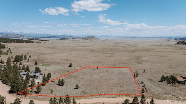 311 Harness Way, Hartsel, CO 80449 - photo 1