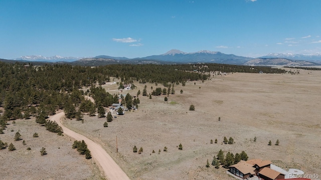 311 Harness Way, Hartsel, CO 80449 - photo 34