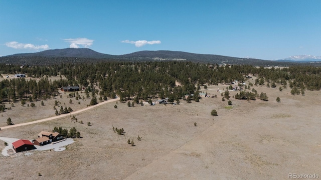 311 Harness Way, Hartsel, CO 80449 - photo 35
