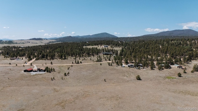 311 Harness Way, Hartsel, CO 80449 - photo 36
