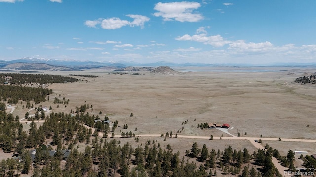 311 Harness Way, Hartsel, CO 80449 - photo 38