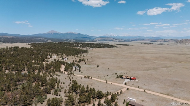 311 Harness Way, Hartsel, CO 80449 - photo 39