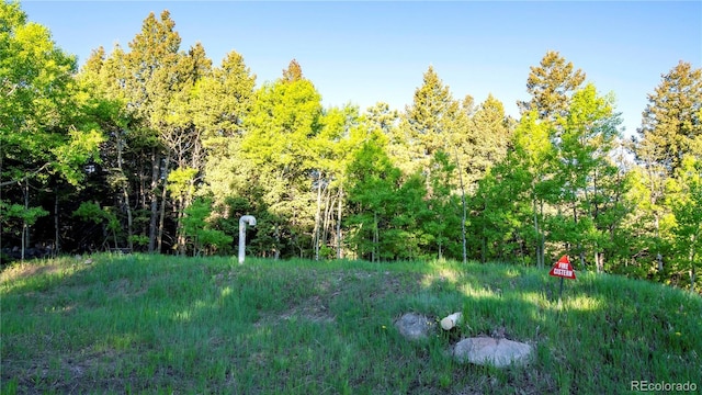 13416 Kuehster Rd, Littleton, CO 80127 - view of yard