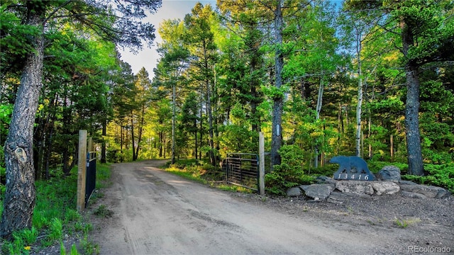 13416 Kuehster Rd, Littleton, CO 80127 - photo 4
