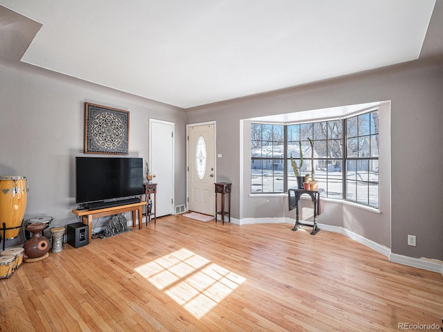 living room with wood-type flooring