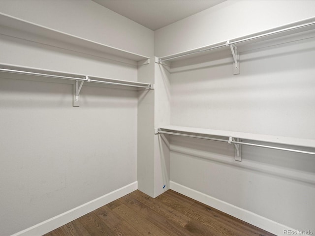 spacious closet featuring dark wood finished floors