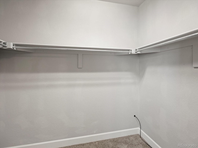 spacious closet with carpet