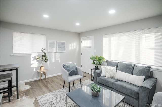 living room with light hardwood / wood-style floors