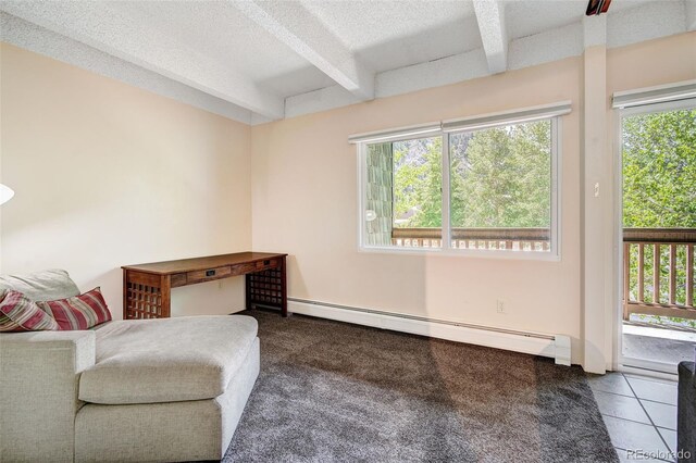 200 Granite St Unit 202, Frisco, CO 80443 - living area featuring baseboard heating, beam ceiling, plenty of natural light, and a textured ceiling