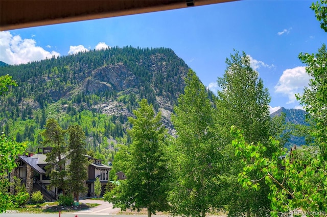 200 Granite St Unit 202, Frisco, CO 80443 - view of mountain backdrop with a forest