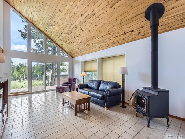 52 Branding Iron Ln, Bailey, CO 80421 - photo 8