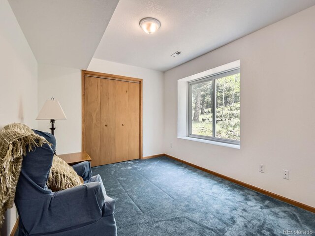 52 Branding Iron Ln, Bailey, CO 80421 - photo 15