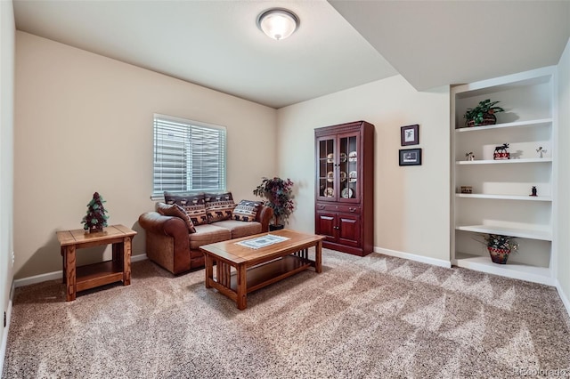 2872 Dreamcatcher Loop, Castle Rock, CO 80109 - living area with carpet flooring and built in features