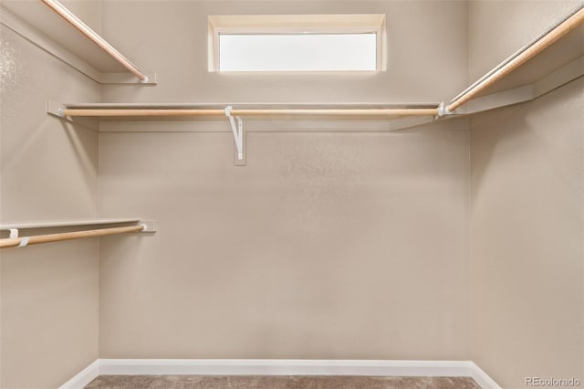 1928 W 67th Pl, Denver, CO 80221 - walk in closet featuring carpet