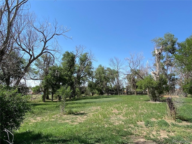 12729 Desert Dr, Sterling, CO 80751 - view of yard