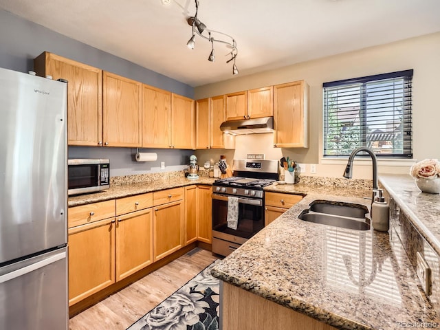 504 Balsa Dr, Castle Rock, CO 80104 - photo 10