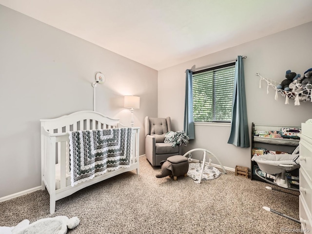504 Balsa Dr, Castle Rock, CO 80104 - photo 19