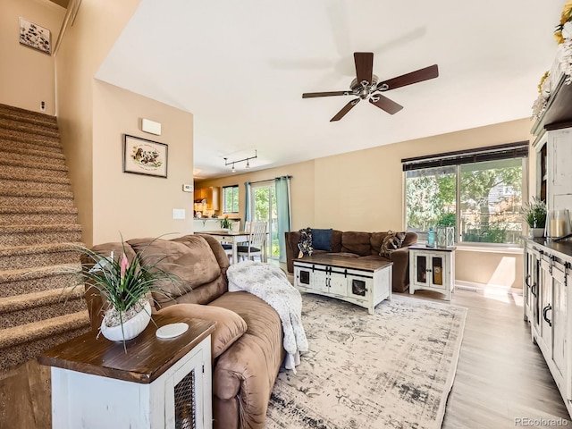 504 Balsa Dr, Castle Rock, CO 80104 - photo 7