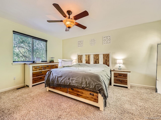 504 Balsa Dr, Castle Rock, CO 80104 - photo 13