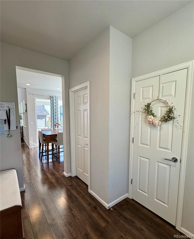 entrance foyer with dark wood-type flooring