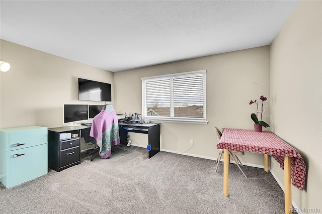 office space with carpet floors, baseboards, and a textured ceiling