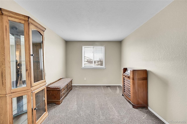 interior space with carpet, baseboards, a textured ceiling, and a textured wall