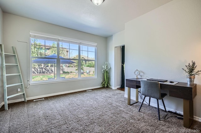 4866 Rainbow Gulch Trl, Colorado Springs, CO 80924 - home office with carpet floors and baseboards