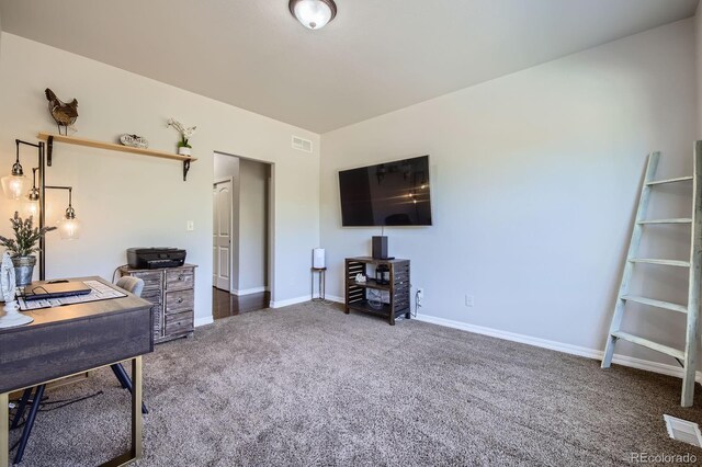 4866 Rainbow Gulch Trl, Colorado Springs, CO 80924 - office area featuring carpet flooring and baseboards