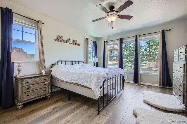 4866 Rainbow Gulch Trl, Colorado Springs, CO 80924 - bedroom with wood finished floors, multiple windows, and a ceiling fan