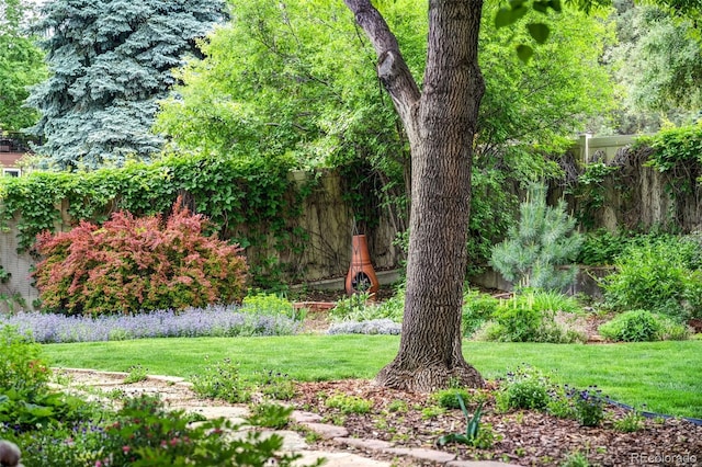 11224 W 28th Pl, Lakewood, CO 80215 - view of yard