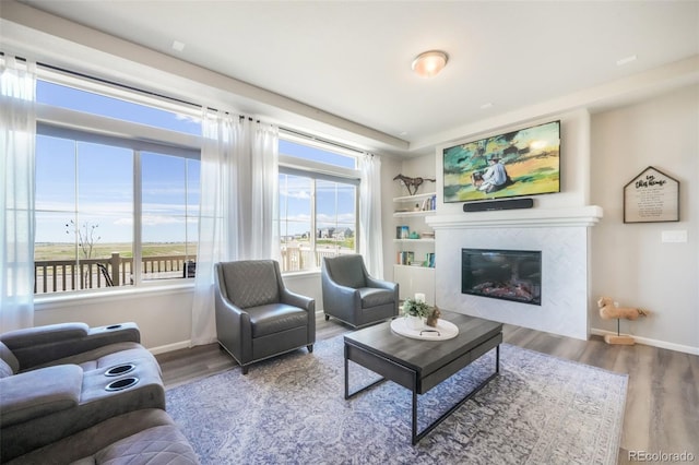 9521 Sideoats Ct, Colorado Springs, CO 80927 - living room with wood finished floors, baseboards, and a fireplace